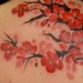 Tattoos - Brush Paint Branch - 37995